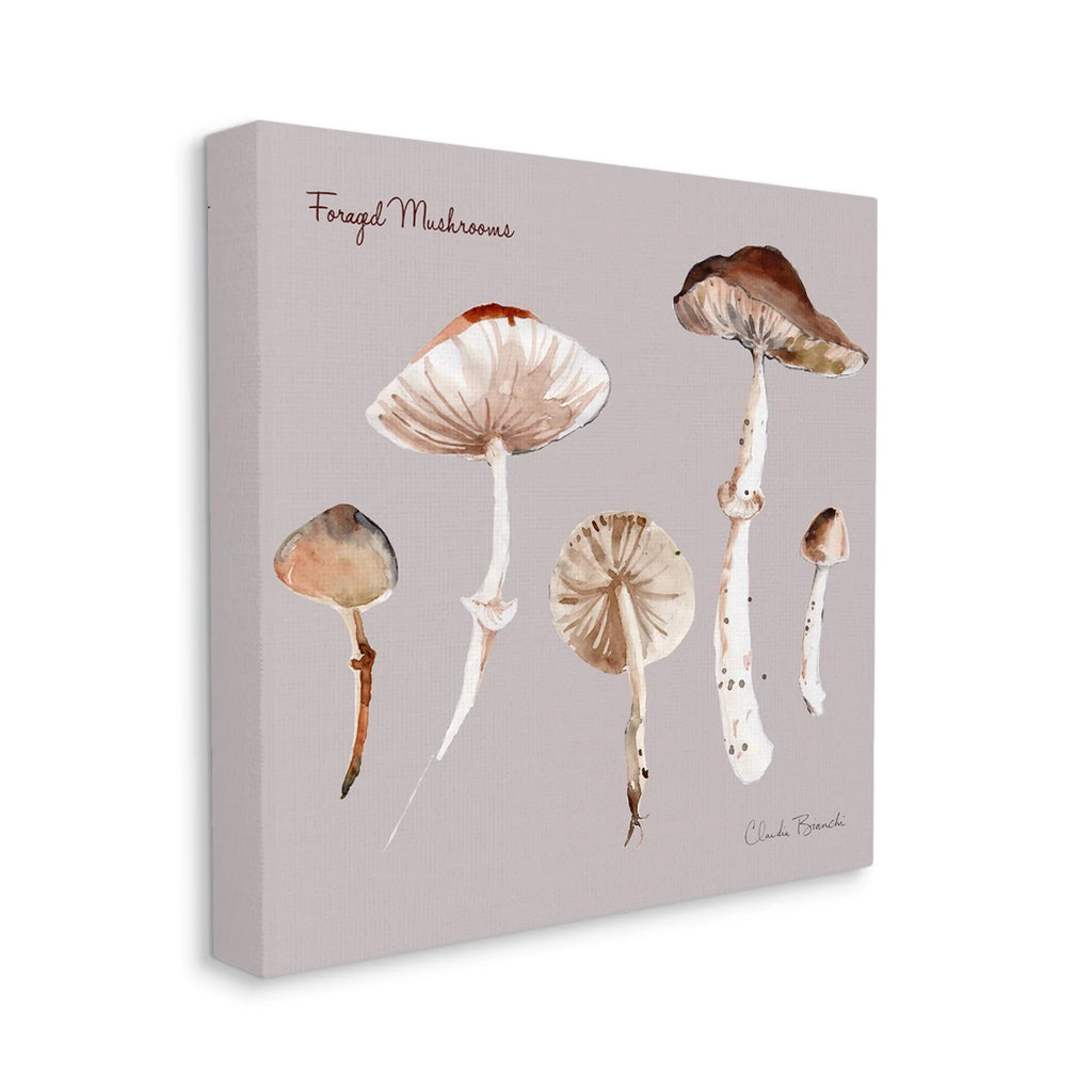 Stupell Industries Foraged Mushrooms Study Botanical & Floral Painting Gallery Wrapped Canvas Art Print Wall Art, 36 x 36