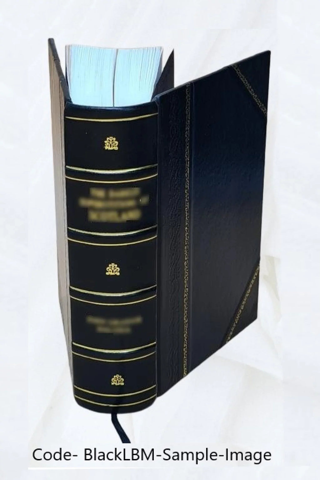 1885 [Leather Bound]. The poetical works of Elizabeth Barrett Browning : with a memoir corrected by the last London edition