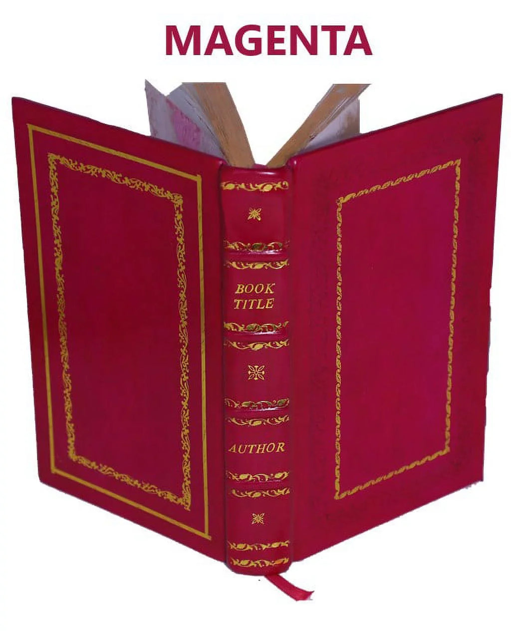 Pros and cons of the controversy 1899 [Premium Leather Bound]. Concerning the bi-literal cypher of Francis Bacon, discovered in his works