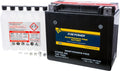 4X4 XT [IRS] 2004-2006. Fire Power Maintenance Free Battery CTX20L-BS Compatible With Bombardier Outlander 400 H.O