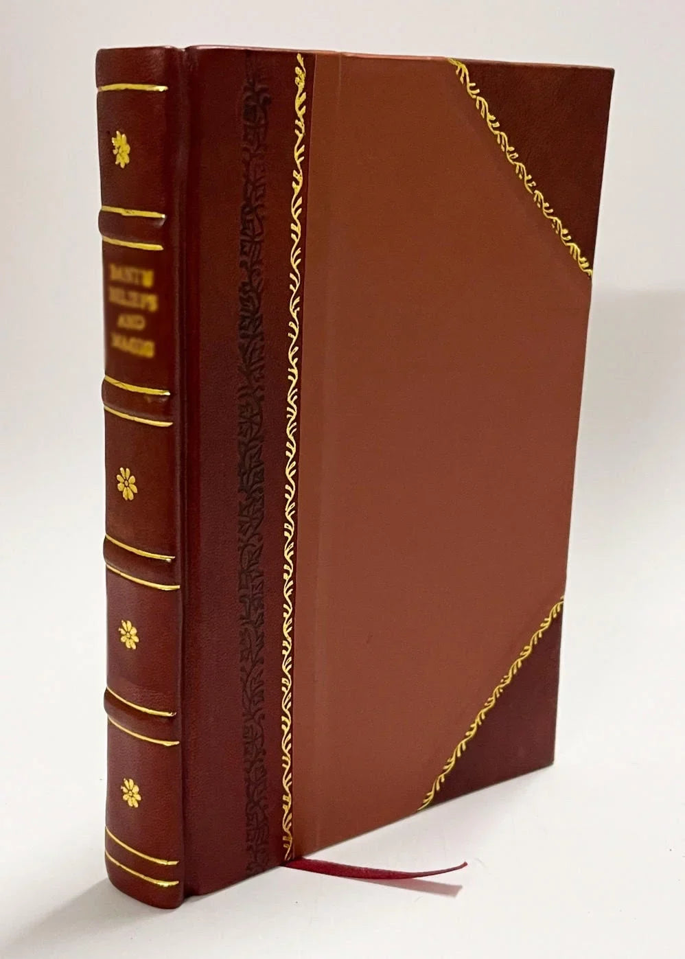 Diario De Un Viage Desde El Fuerte De San Rafael Del Diamante Hasta El De San Lorenzo, En Las Puntas Del Rio Quinto (Etc.) 6 / 1837 Edition (1837) [Leather Bound]