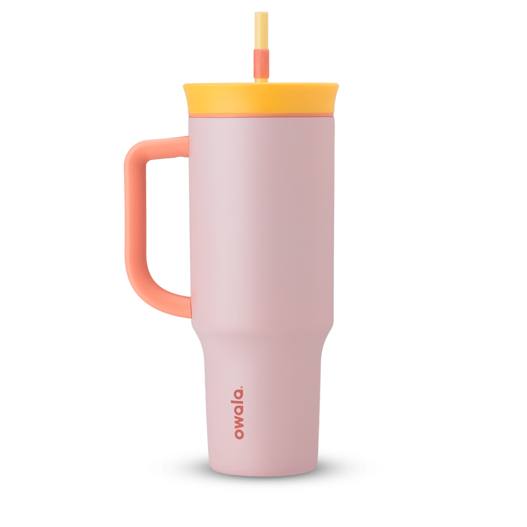 2-in-1 Bottle Brush - Second Set 01
